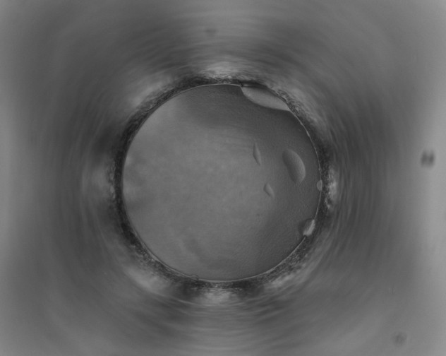 X0000094420547200711151323