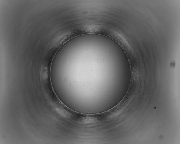 X0000094420549200711151323