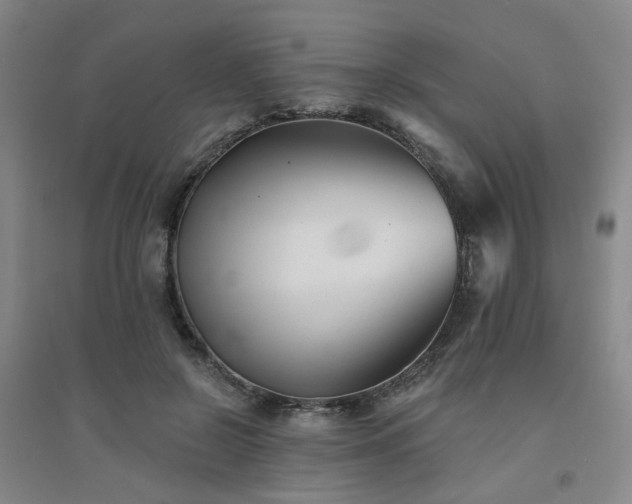 X0000094420550200711151323