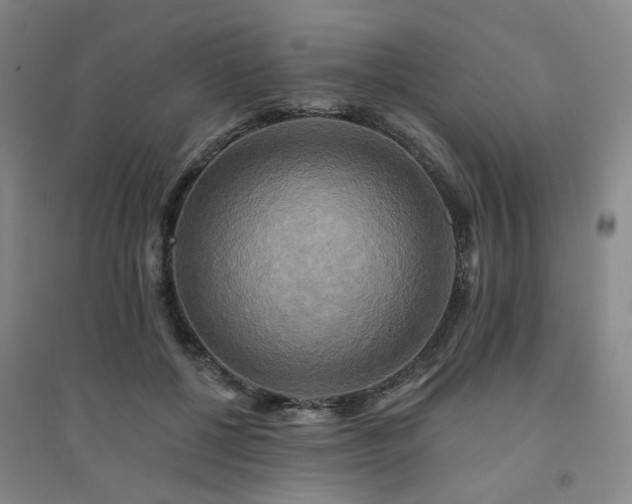 X0000094420552200711151323