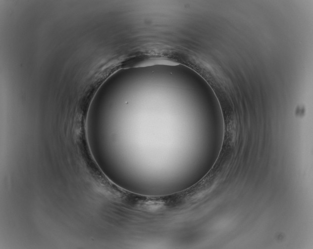 X0000094420554200711151323