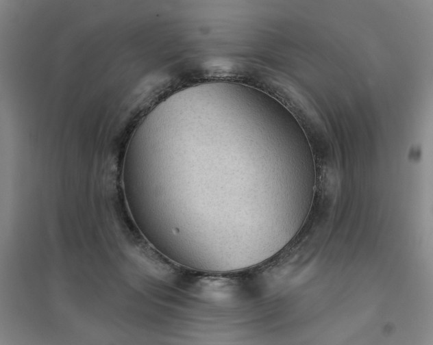X0000094420557200711151323