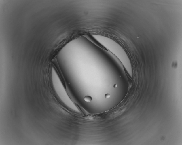 X0000094420558200711151323