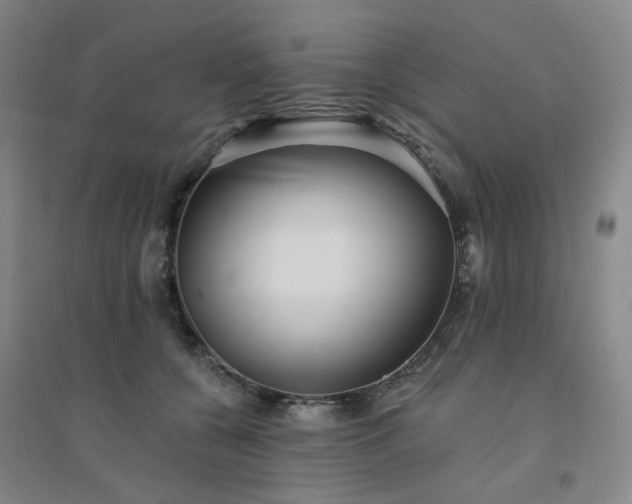 X0000094420560200711151323