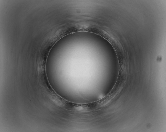 X0000094420561200711151323