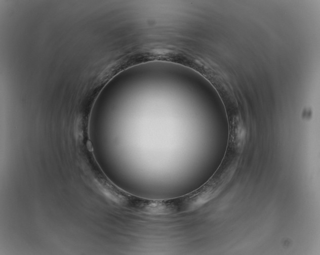 X0000094420562200711151323