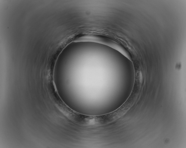 X0000094420564200711151323