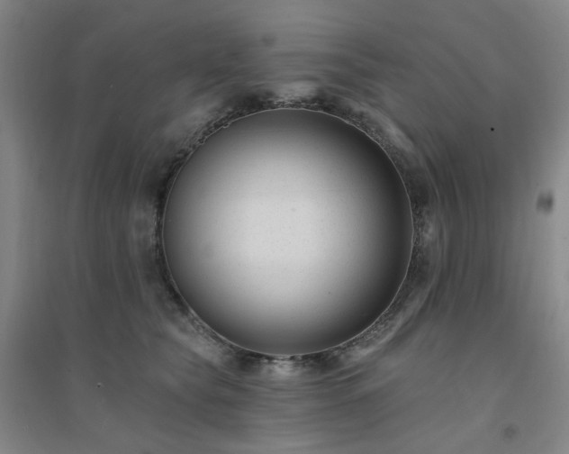 X0000094420565200711151323