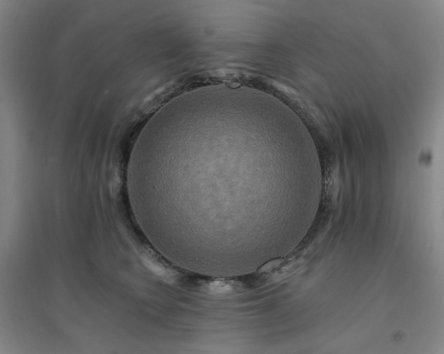 X0000094420566200711151323