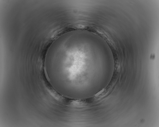 X0000094420568200711151323