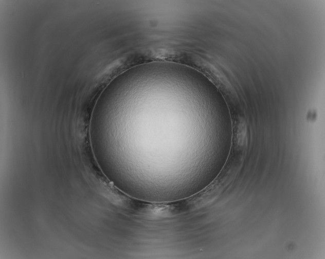 X0000094420569200711151323