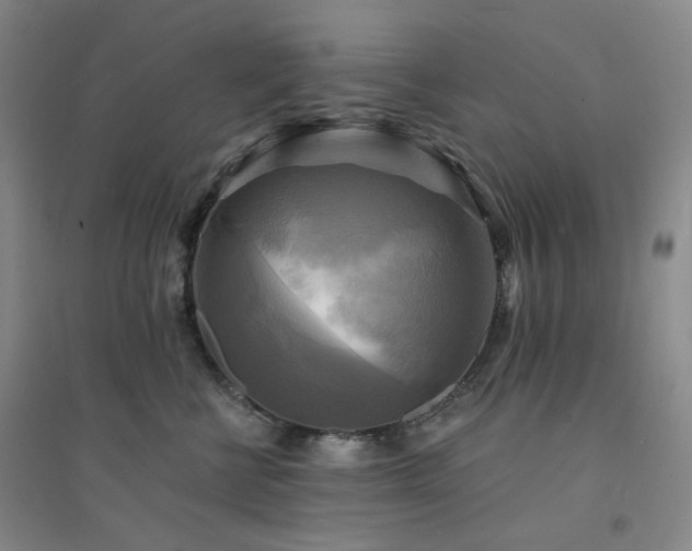 X0000094420570200711151323