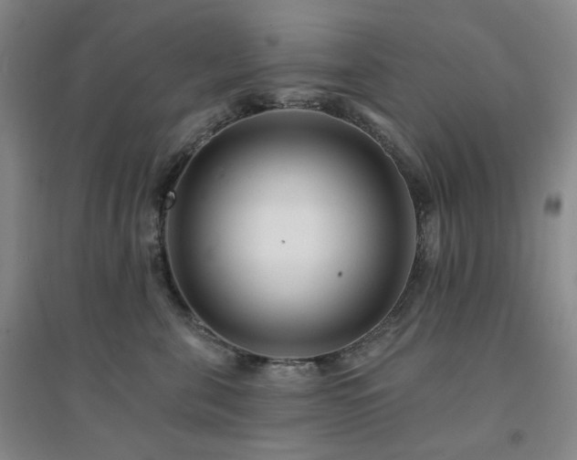 X0000094420571200711151323