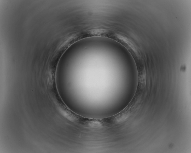 X0000094420572200711151323