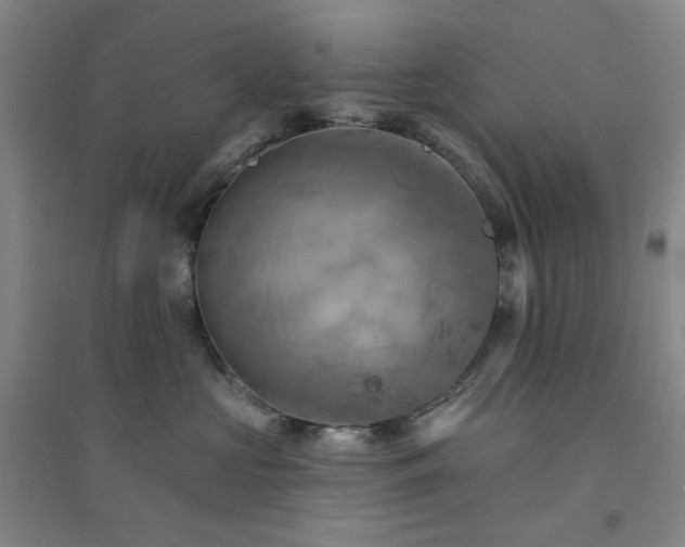 X0000094420573200711151323