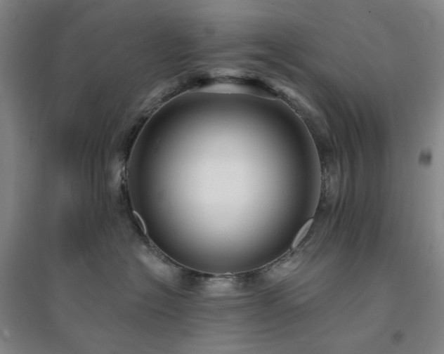 X0000094420574200711151323
