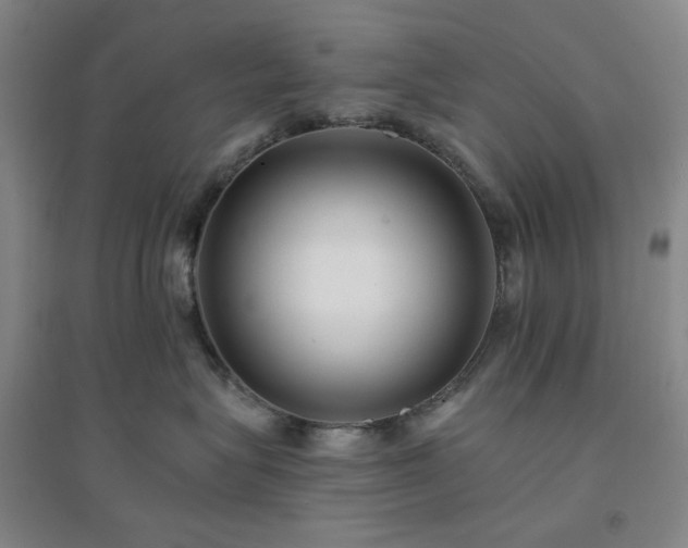 X0000094420575200711151323