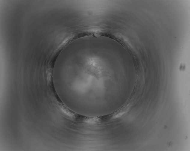 X0000094420576200711151323