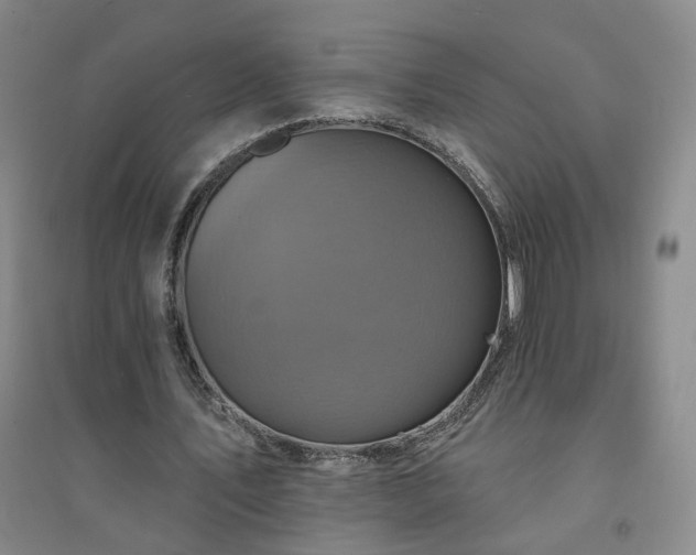 X0000094420579200711151322