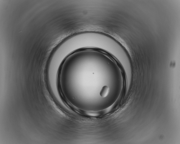 X0000094420581200711151322
