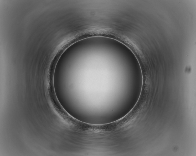 X0000094420582200711151322