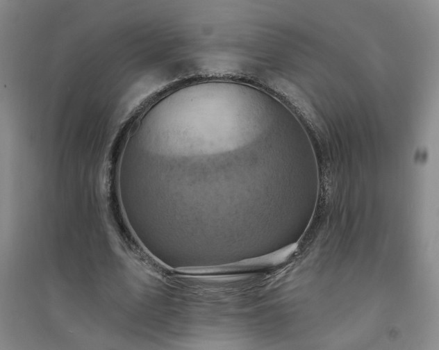 X0000094420583200711151322