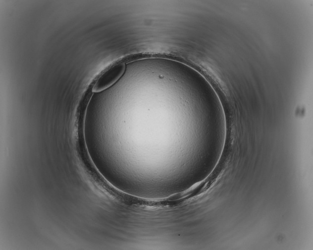 X0000094420584200711151322