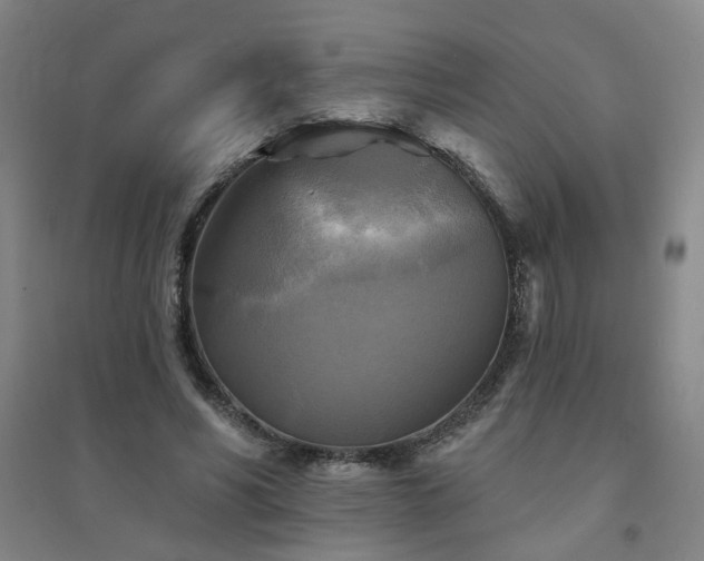 X0000094420590200711151322