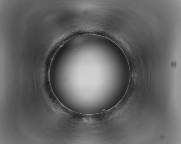 X0000094420591200711151322
