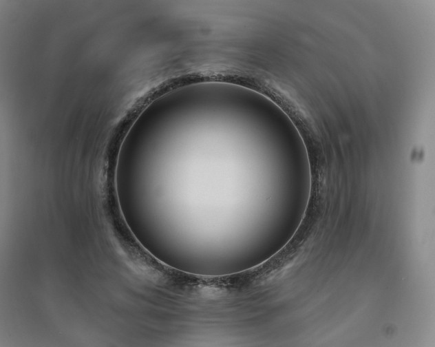 X0000094420592200711151322