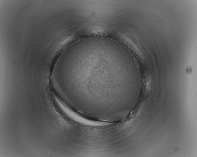 X0000094420593200711151322