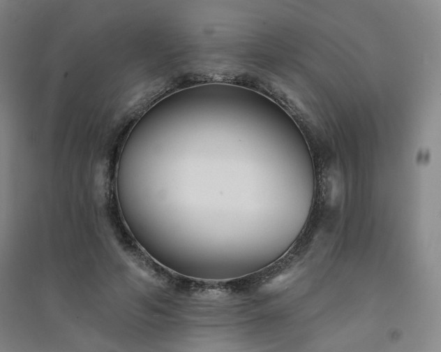 X0000094420594200711151322