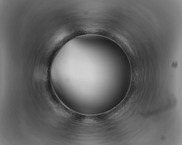 X0000094420596200711151322