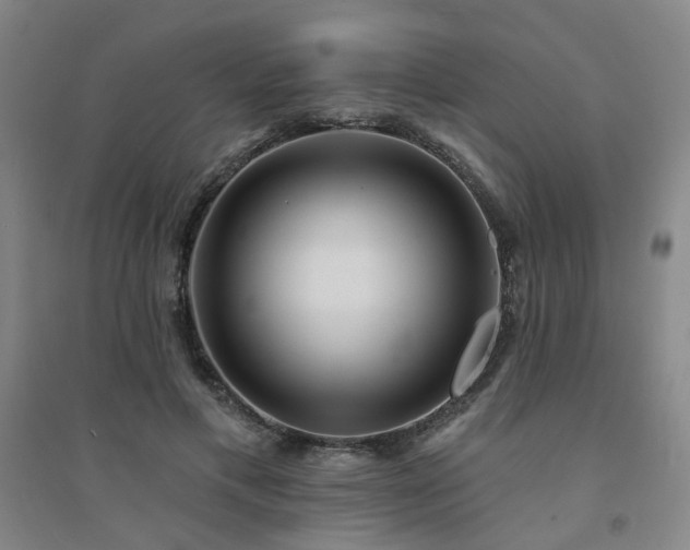 X0000094420597200711151322