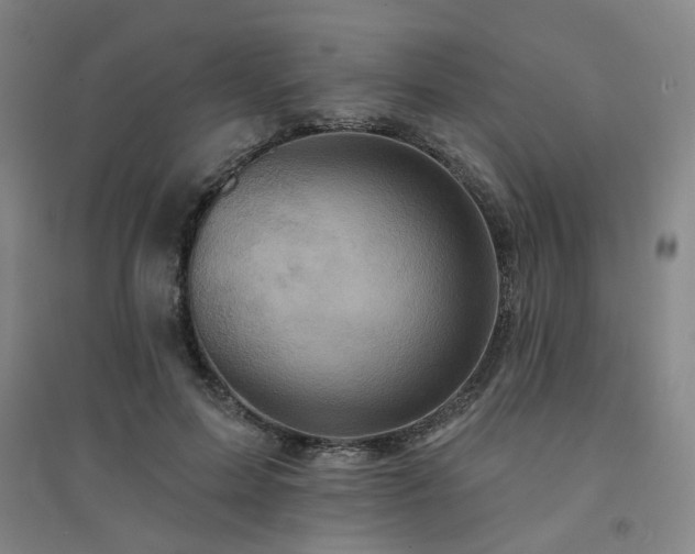 X0000094420599200711151322