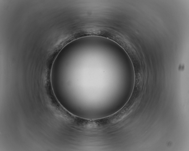 X0000094420600200711151322