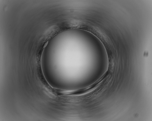 X0000094420601200711151322