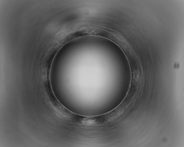 X0000094420602200711151322