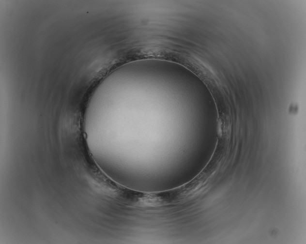 X0000094420603200711151322