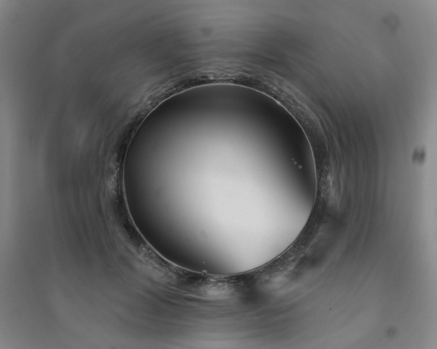 X0000094420604200711151322
