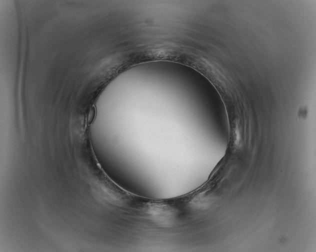 X0000094420605200711151322