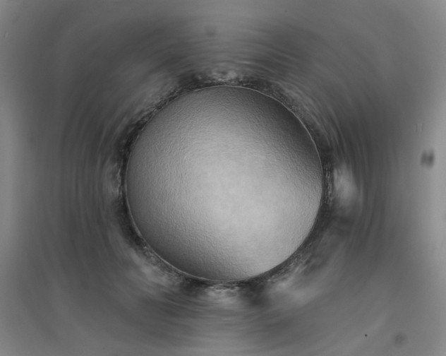X0000094420606200711151322