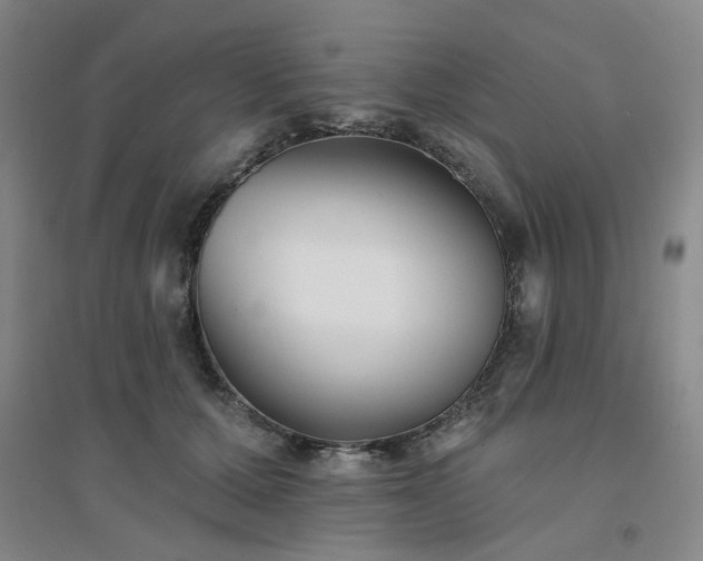 X0000094420607200711151322