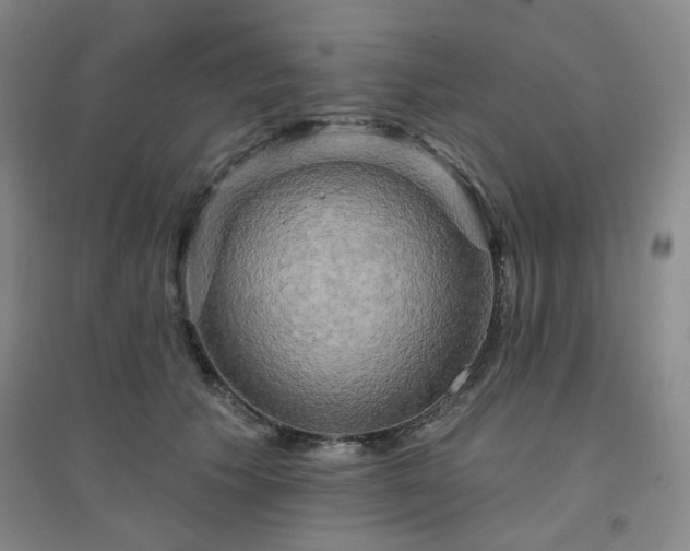 X0000094420609200711151322