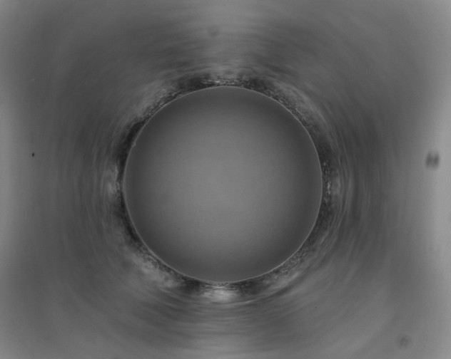 X0000094420610200711151322