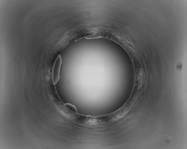 X0000094420611200711151322