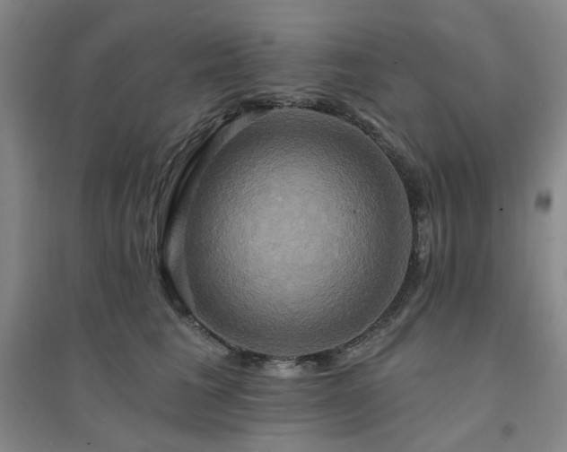 X0000094420613200711151322