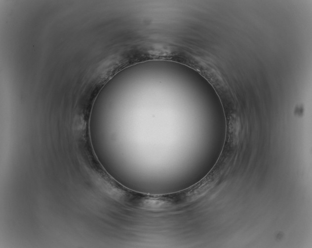 X0000094420614200711151322