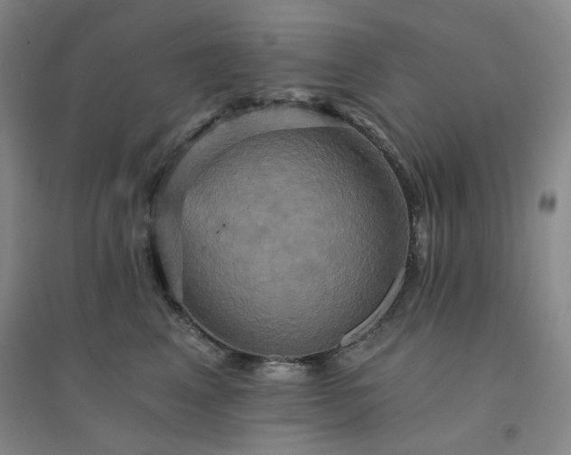 X0000094420617200711151322