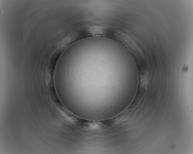 X0000094420618200711151322